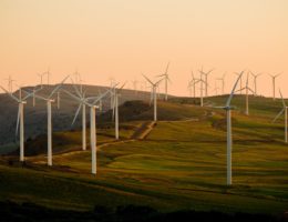 windmills on green field under white sky during daytime