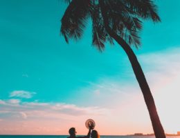 man and woman sitting on wooden fence near brown and green palm tree