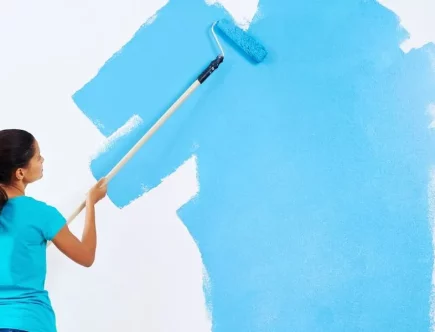 magasin de peinture Villeurbanne