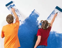 magasin de peinture à Oullins