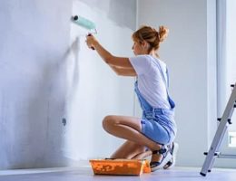 magasin peinture Lyon 5