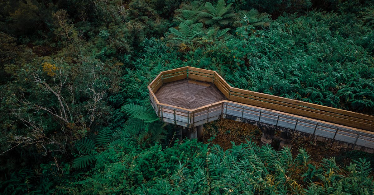 découvrez l'univers de benoit broyart, un expert passionné offrant des solutions innovantes et des conseils personnalisés pour atteindre vos objectifs. explorez ses réalisations et les services qu'il propose pour optimiser votre succès.