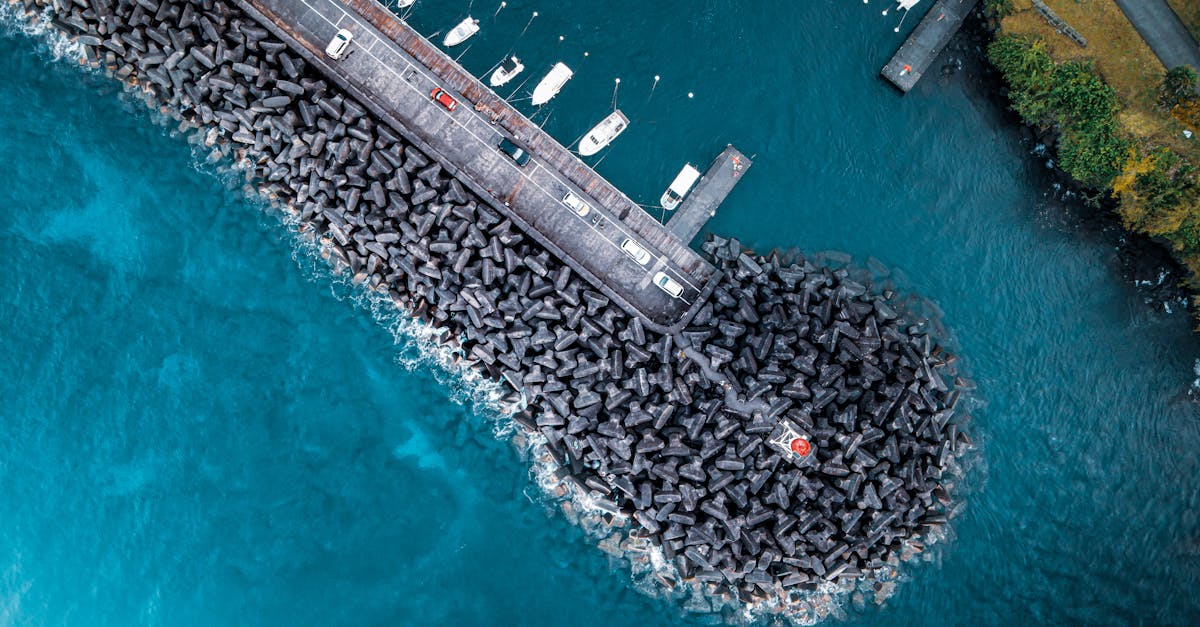 découvrez le monde fascinant de benoit broyart, un expert passionné offrant des insights uniques sur divers sujets. plongez dans son univers et explorez ses contributions inspirantes.