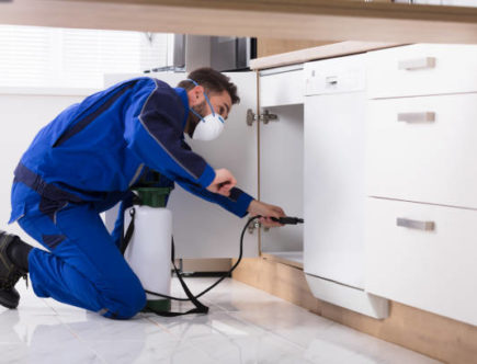 entreprise de dératisation à Lyon