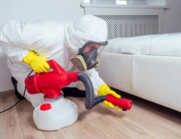 désinfection punaise de lit à Lyon