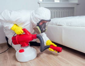 désinfection punaise de lit à Lyon