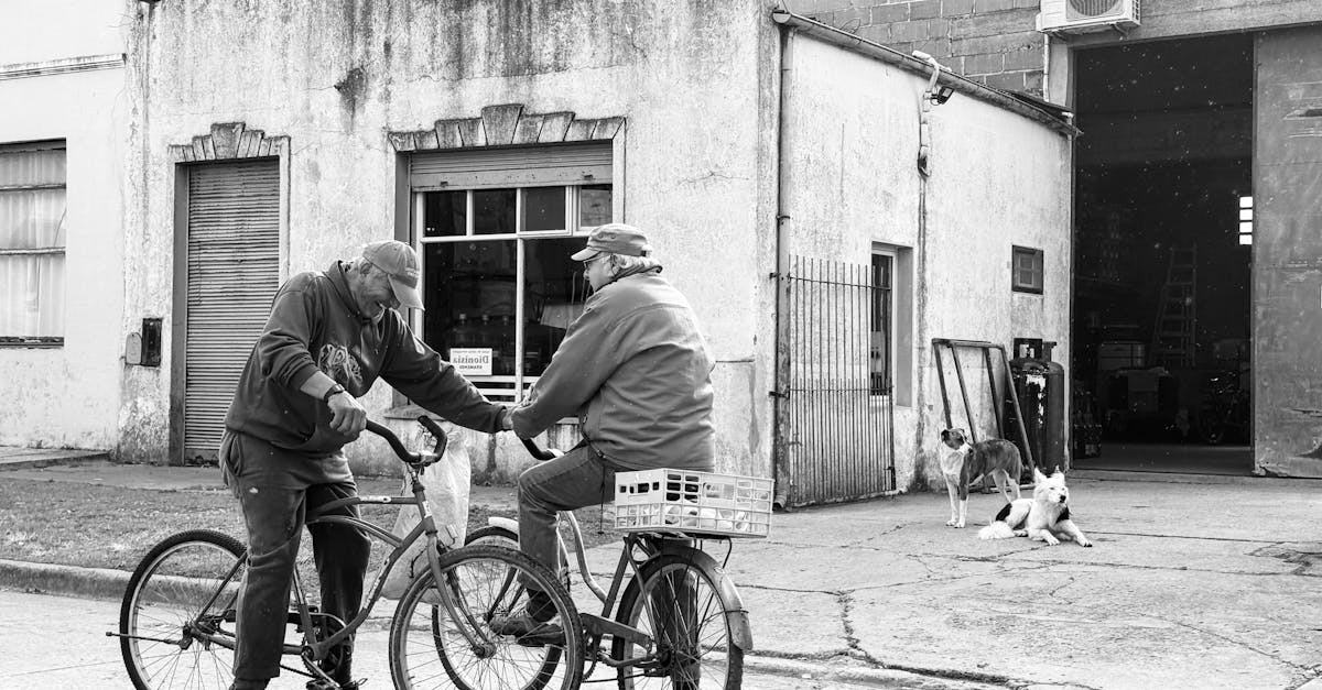 découvrez notre collection unique de chapeaux pour tous les styles et les occasions. que ce soit pour l'été, l'hiver ou une tenue élégante, trouvez le chapeau parfait qui complétera votre look avec élégance et personnalité.