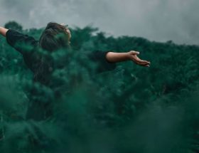 découvrez comment la nature peut inspirer votre créativité et votre bien-être. plongez dans des idées et des conseils pour intégrer des éléments naturels dans votre quotidien et transformer votre espace de vie.