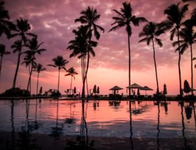 découvrez un véritable paradis sur terre, où la beauté naturelle et la sérénité se rencontrent. évadez-vous vers des paysages idylliques, des plages de sable fin et une atmosphère apaisante qui vous fera oublier le quotidien.