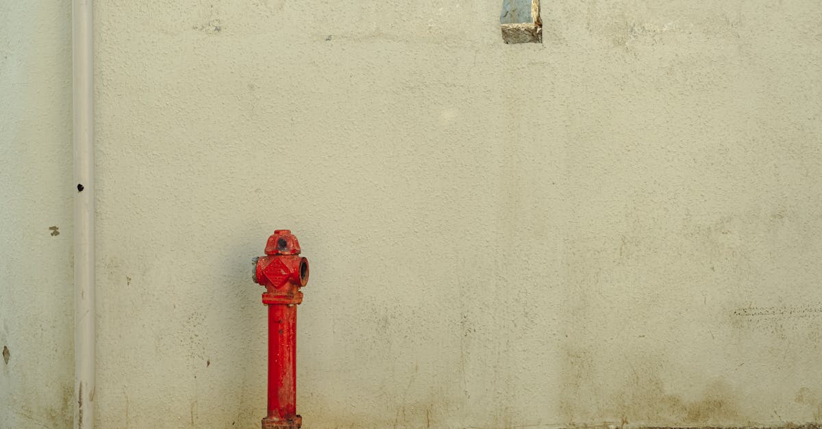 découvrez nos services essentiels qui garantissent le bon fonctionnement de votre quotidien. que ce soit pour vos besoins de santé, d'entretien ou de sécurité, nous sommes là pour vous accompagner et vous offrir des solutions fiables et efficaces.