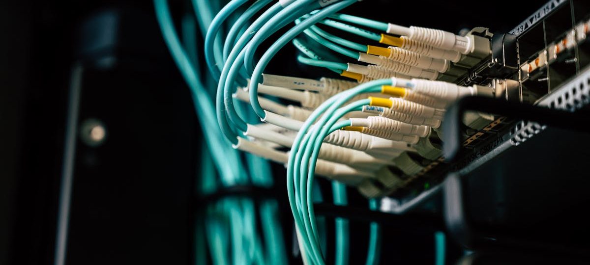 découvrez notre large sélection de plugs anaux conçus pour le plaisir et le confort. que vous soyez débutant ou expérimenté, trouvez l'accessoire parfait pour explorer de nouvelles sensations en toute sécurité.