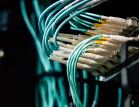 découvrez notre large sélection de plugs anaux conçus pour le plaisir et le confort. que vous soyez débutant ou expérimenté, trouvez l'accessoire parfait pour explorer de nouvelles sensations en toute sécurité.