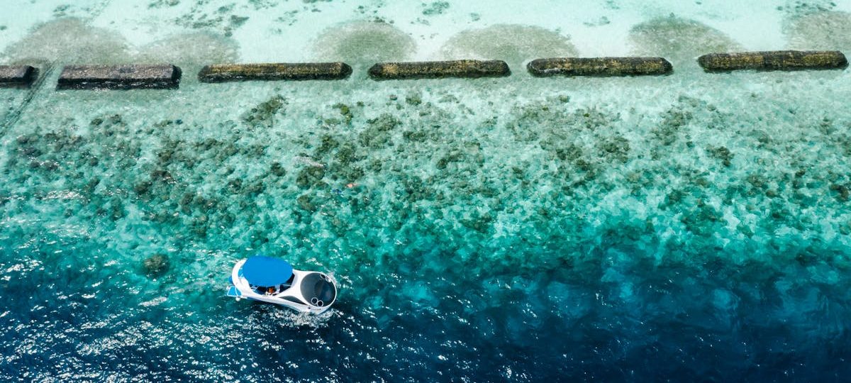 découvrez notre collection d'aqua dresses, des robes élégantes aux teintes rafraîchissantes qui ajoutent une touche de glamour à votre garde-robe. parfaites pour toutes les occasions, ces robes légères et fluides vous offriront confort et style.