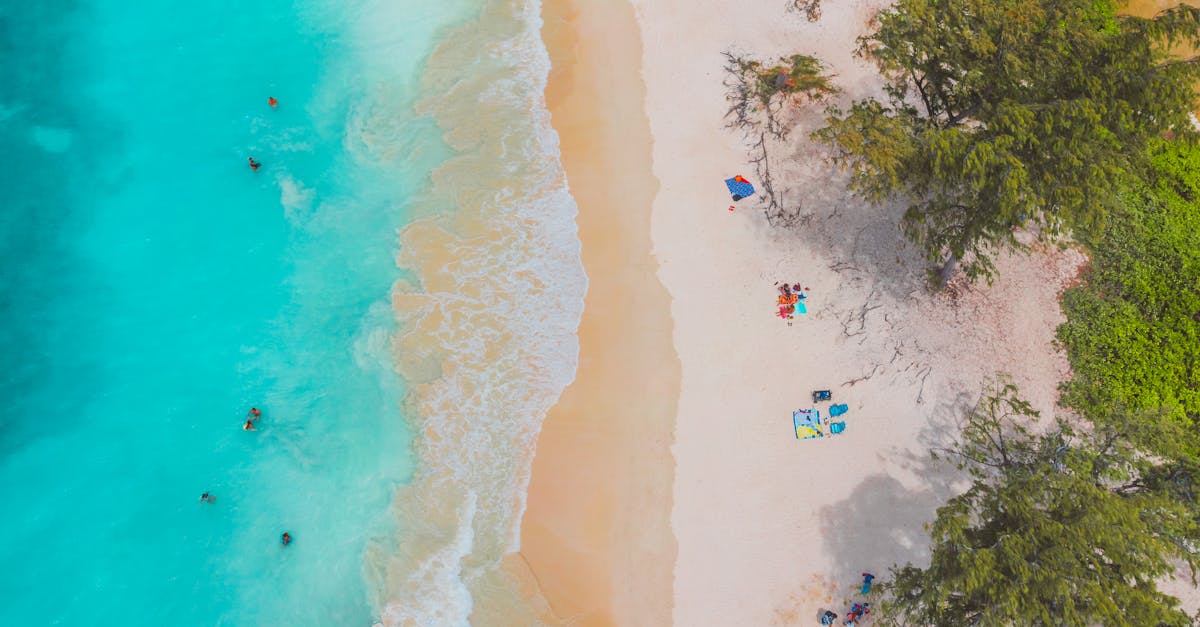 découvrez notre collection de serviettes de plage, alliant confort et style. fabriquées en matériaux de qualité, nos serviettes sèchent rapidement et sont idéales pour vos journées au bord de l'eau. optez pour des motifs tendance et des couleurs vibrantes pour profiter pleinement de l'été.