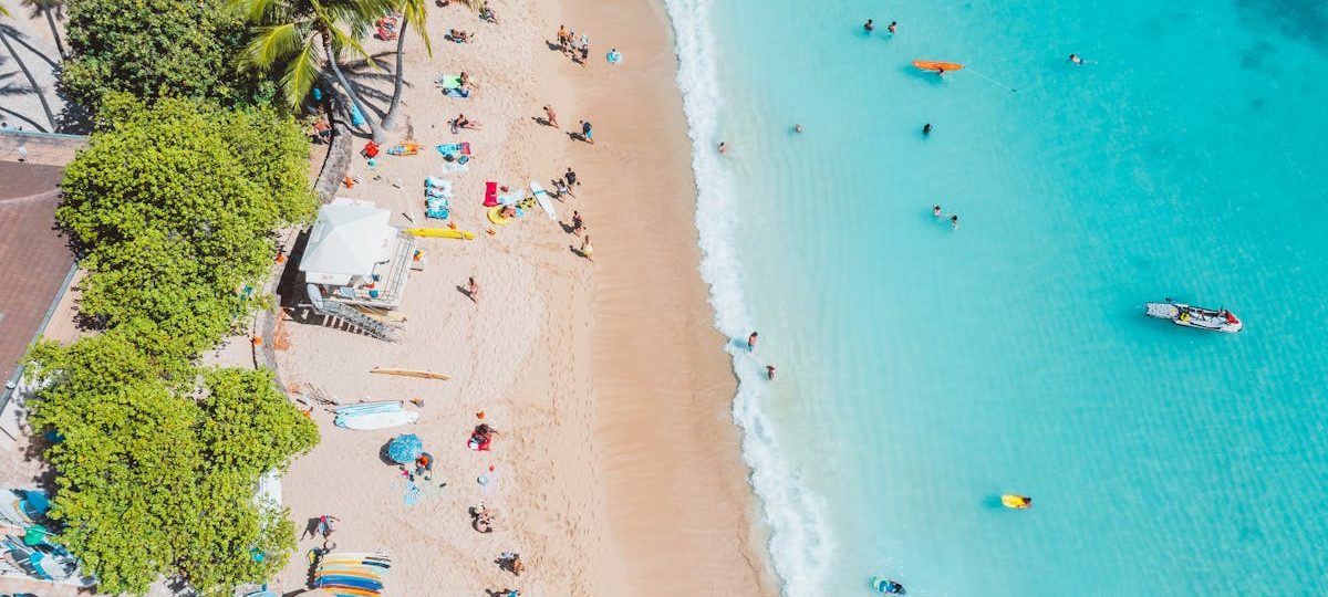 découvrez notre sélection de serviettes de plage élégantes et ultra-absorbantes, idéales pour vos journées au soleil. offrant une grande variété de designs et de couleurs, nos serviettes sont parfaites pour vous accompagner à la plage ou à la piscine. profitez de confort et de style tout l'été !
