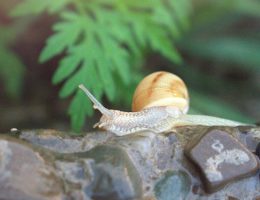 découvrez notre collection de slips pour homme, alliant confort et style. fabriqués avec des matériaux de haute qualité, nos slips offrent un maintien optimal et une coupe idéale pour un usage quotidien. explorez nos designs variés et trouvez celui qui vous convient le mieux.