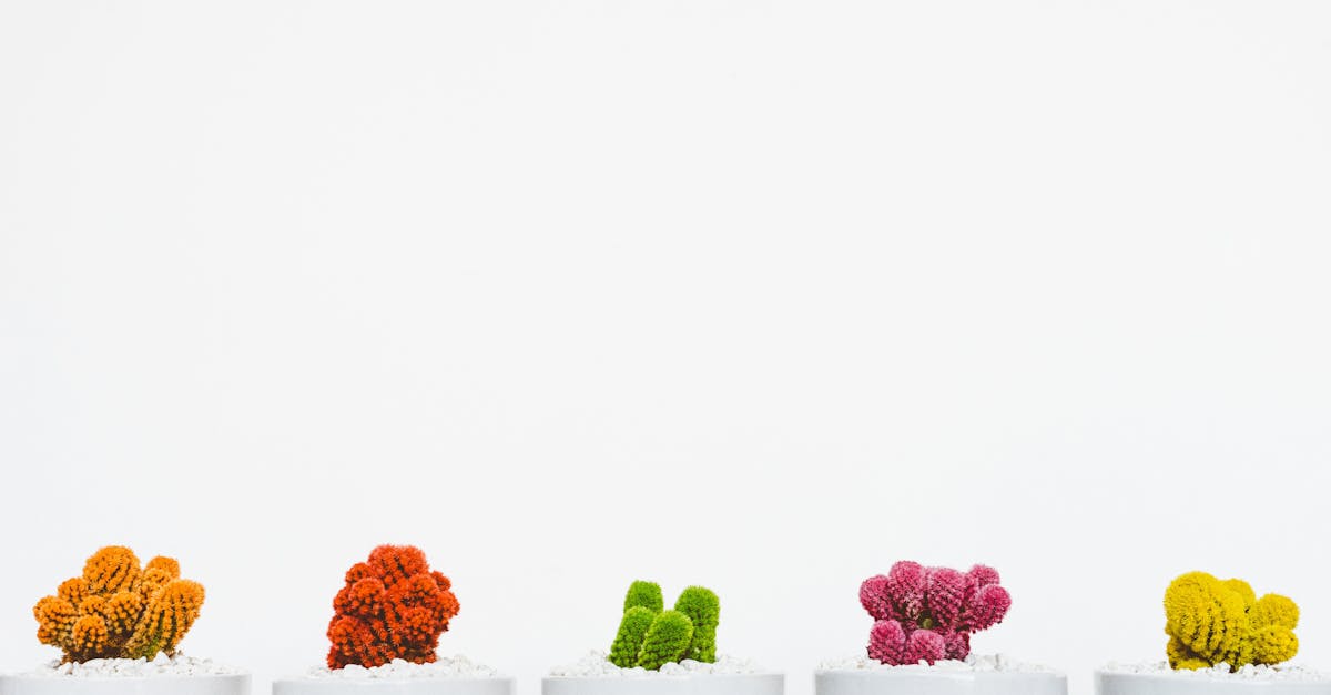 découvrez l'univers du design : tendances, conseils et inspirations pour améliorer vos créations graphiques, d'intérieur ou numériques. restez informé des nouveautés et techniques pour développer votre créativité et donner vie à vos idées.