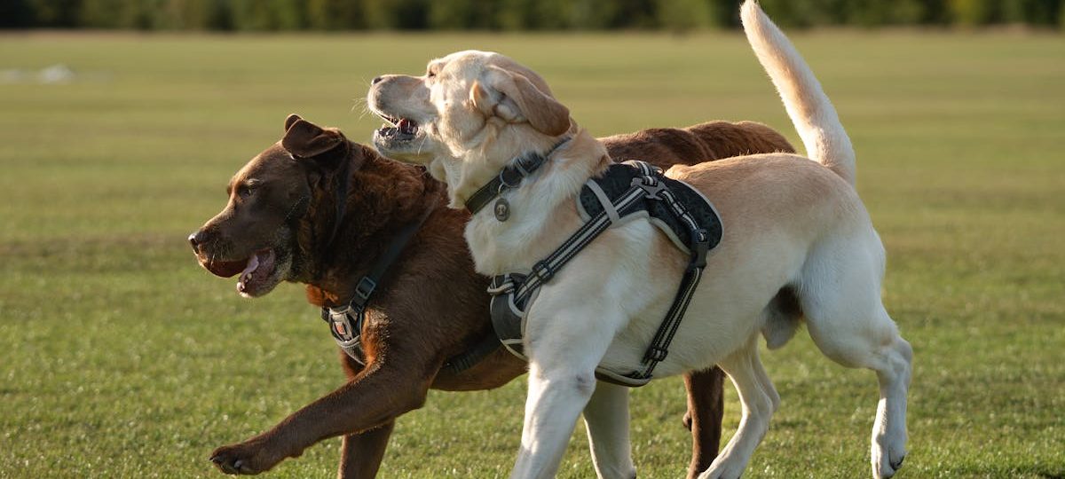 découvrez les bienfaits du soleil sur la santé : vitamine d, bien-être, humeur et prévention de certaines maladies. profitez des avantages du sunlight tout en restant protégé !