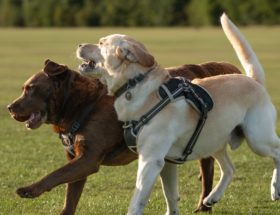 découvrez les bienfaits du soleil sur la santé : vitamine d, bien-être, humeur et prévention de certaines maladies. profitez des avantages du sunlight tout en restant protégé !