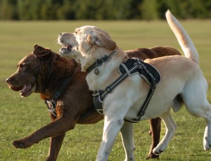 découvrez les bienfaits du soleil sur la santé : vitamine d, bien-être, humeur et prévention de certaines maladies. profitez des avantages du sunlight tout en restant protégé !