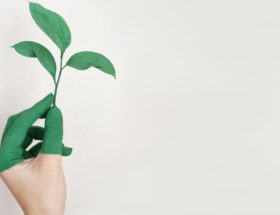 découvrez la mode durable : des vêtements éthiques, respectueux de l’environnement et produits de manière responsable. adoptez un style tendance tout en préservant la planète grâce à nos conseils et sélections en matière de mode éco-responsable.