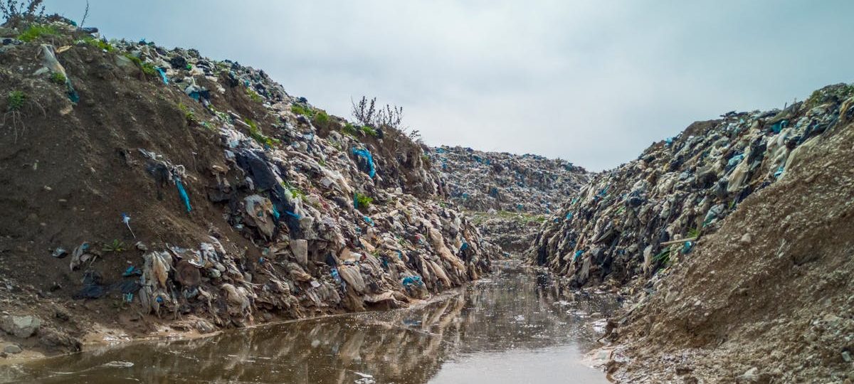 découvrez des solutions durables pour un avenir plus responsable : innovations écologiques, conseils pratiques et stratégies pour adopter un mode de vie respectueux de l'environnement.
