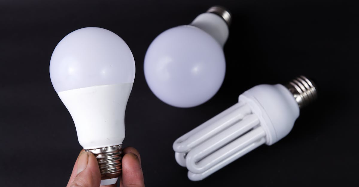 découvrez des solutions durables pour préserver l’environnement, améliorer votre quotidien et adopter des pratiques responsables au service d’un avenir meilleur.