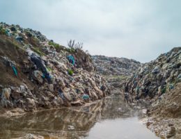 découvrez des solutions durables pour un avenir plus responsable : innovations écologiques, conseils pratiques et stratégies pour adopter un mode de vie respectueux de l'environnement.