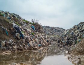 découvrez des solutions durables pour un avenir plus responsable : innovations écologiques, conseils pratiques et stratégies pour adopter un mode de vie respectueux de l'environnement.