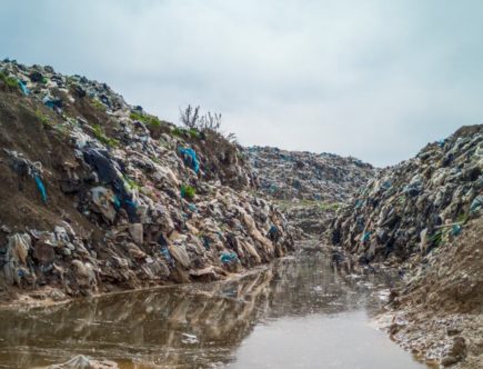 découvrez des solutions durables pour un avenir plus responsable : innovations écologiques, conseils pratiques et stratégies pour adopter un mode de vie respectueux de l'environnement.