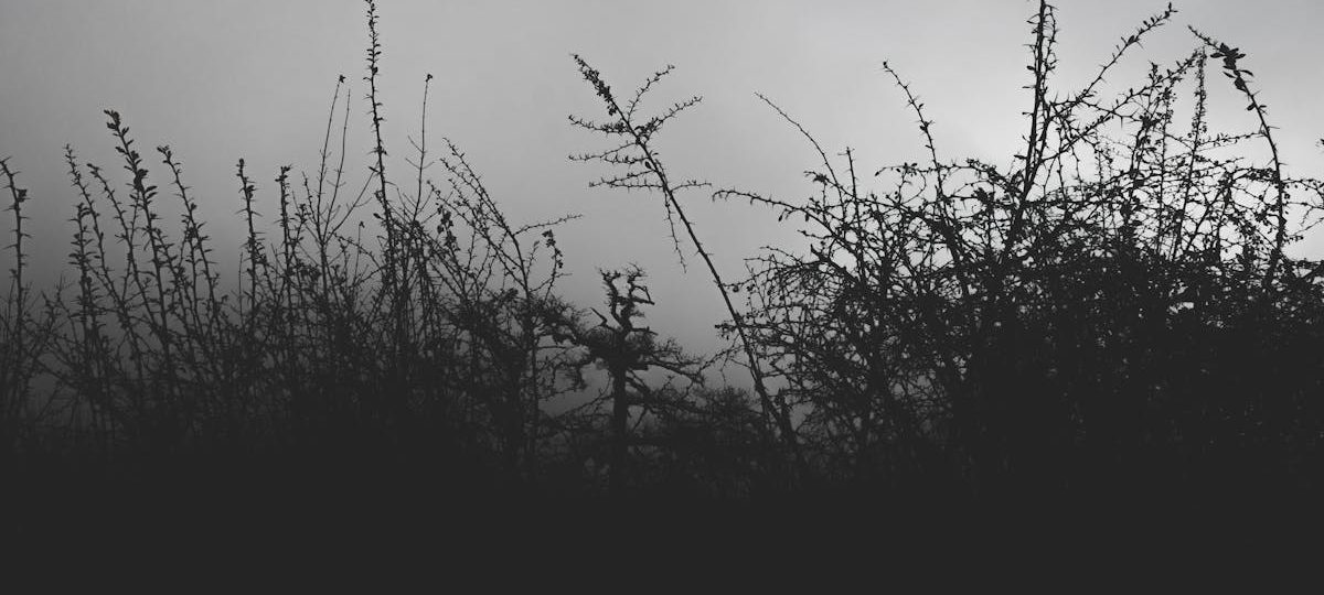 découvrez twity, votre nouvelle application dédiée à l’échange instantané de messages, d’actualités et de tendances. rejoignez une communauté dynamique et restez connecté à l’essentiel, partout et à tout moment.