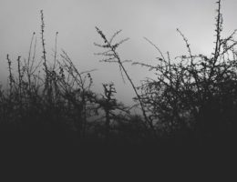 découvrez twity, votre nouvelle application dédiée à l’échange instantané de messages, d’actualités et de tendances. rejoignez une communauté dynamique et restez connecté à l’essentiel, partout et à tout moment.