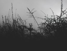 découvrez twity, votre nouvelle application dédiée à l’échange instantané de messages, d’actualités et de tendances. rejoignez une communauté dynamique et restez connecté à l’essentiel, partout et à tout moment.