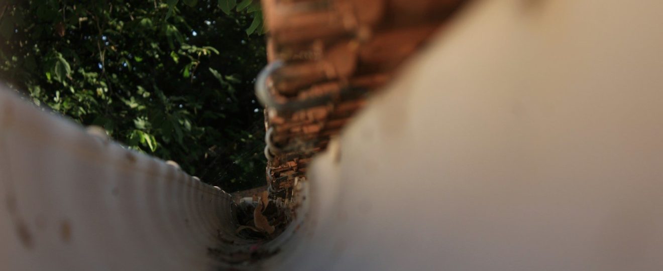 a close up of a fence with trees in the background