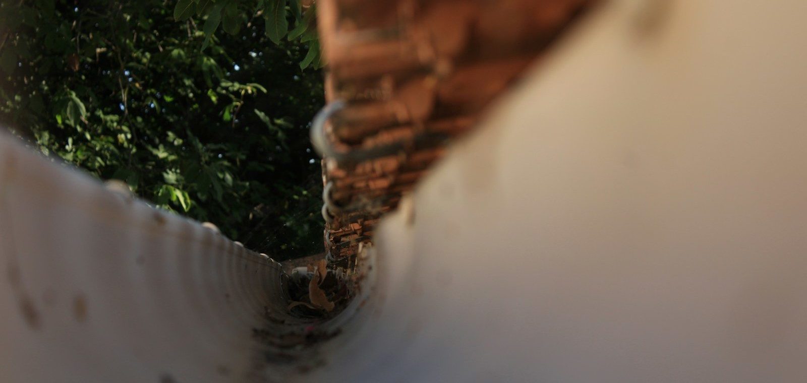a close up of a fence with trees in the background