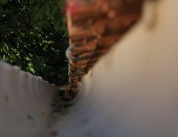 a close up of a fence with trees in the background
