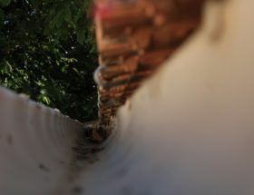 a close up of a fence with trees in the background